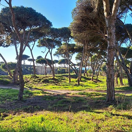 Sea Wave Sounds, Meco, By The Beach Sesimbra Exterior photo