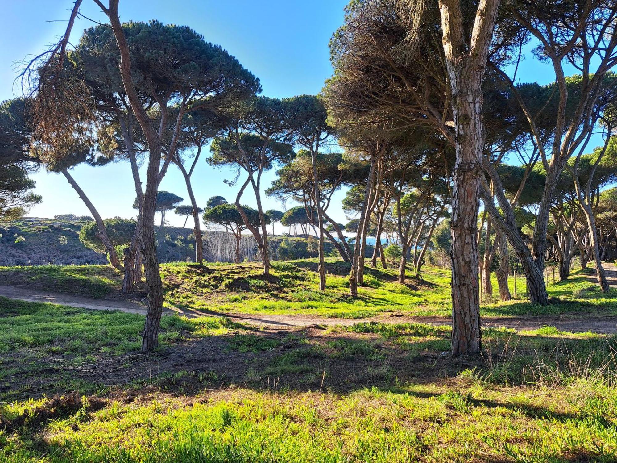 Sea Wave Sounds, Meco, By The Beach Sesimbra Exterior photo